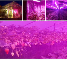 Load image into Gallery viewer, Plant LED Grow Lights Full Spectrum Indoor