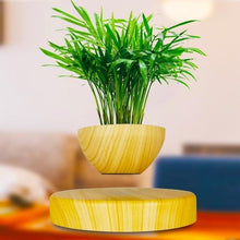 Load image into Gallery viewer, Levitating Magnetic Bonsai Tree Planter Pot