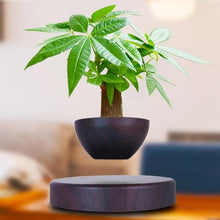 Load image into Gallery viewer, Levitating Magnetic Bonsai Tree Planter Pot