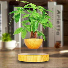 Load image into Gallery viewer, Levitating Magnetic Bonsai Tree Planter Pot
