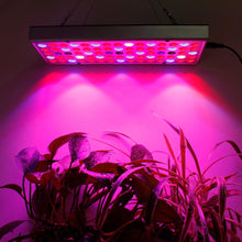 Load image into Gallery viewer, Plant LED Grow Lights Full Spectrum Indoor