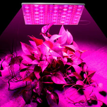 Load image into Gallery viewer, Plant LED Grow Lights Full Spectrum Indoor
