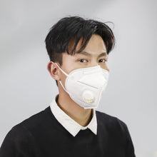 Load image into Gallery viewer, Respiratory N95 Dust Pollution Breathing Mask
