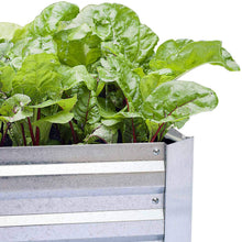 Load image into Gallery viewer, Heavy Duty Raised Garden Bed Planter Elevated Box - 8ft x 4ft x 1ft
