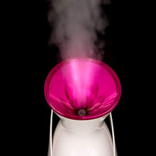 Load image into Gallery viewer, Premium Facial Steamer Portable Home Face Humidifier
