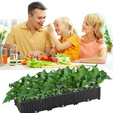 Load image into Gallery viewer, Raised Garden Planter Bed Elevated Box
