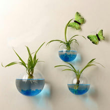 Load image into Gallery viewer, Luxurious Wall Mounted Planter Holder
