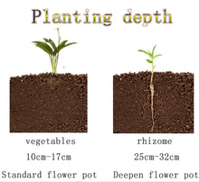Load image into Gallery viewer, Raised Garden Planter Bed Elevated Box
