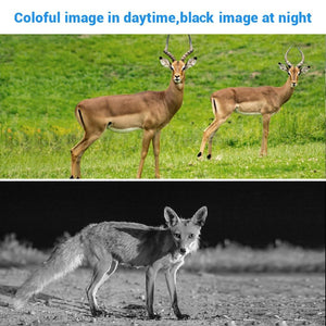 Wifi Trail Game Camera