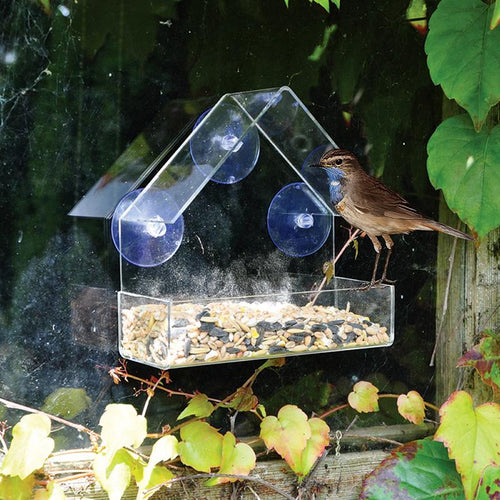 Window Bird Feeder Platform Station