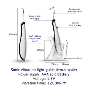 Dental Ultrasonic Plaque/Tartar Scaler & Calculus Stain Remover