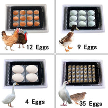 Load image into Gallery viewer, 35 Premium Automatic Chicken Egg Incubator
