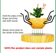 Load image into Gallery viewer, Levitating Magnetic Bonsai Tree Planter Pot
