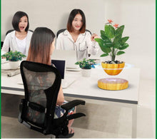 Load image into Gallery viewer, Levitating Magnetic Bonsai Tree Planter Pot
