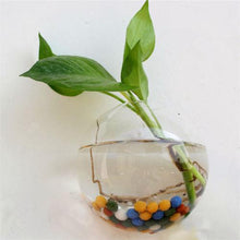 Load image into Gallery viewer, Luxurious Wall Mounted Planter Holder
