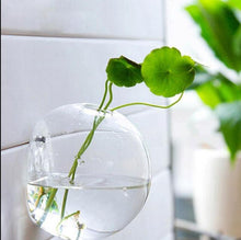 Load image into Gallery viewer, Luxurious Wall Mounted Planter Holder

