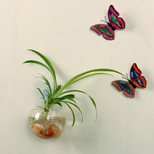 Load image into Gallery viewer, Luxurious Wall Mounted Planter Holder
